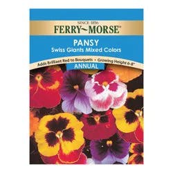 Ferry Morse Pansy