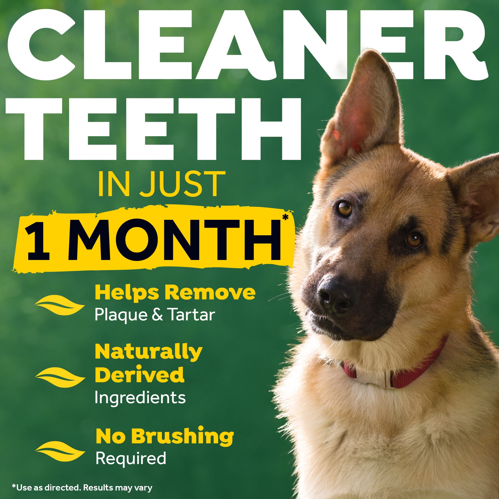 slide 5 of 10, TropiClean Fresh Breath No Brushing Clean Teeth Dental & Oral Care Gel for Dogs, 2oz, 2 oz
