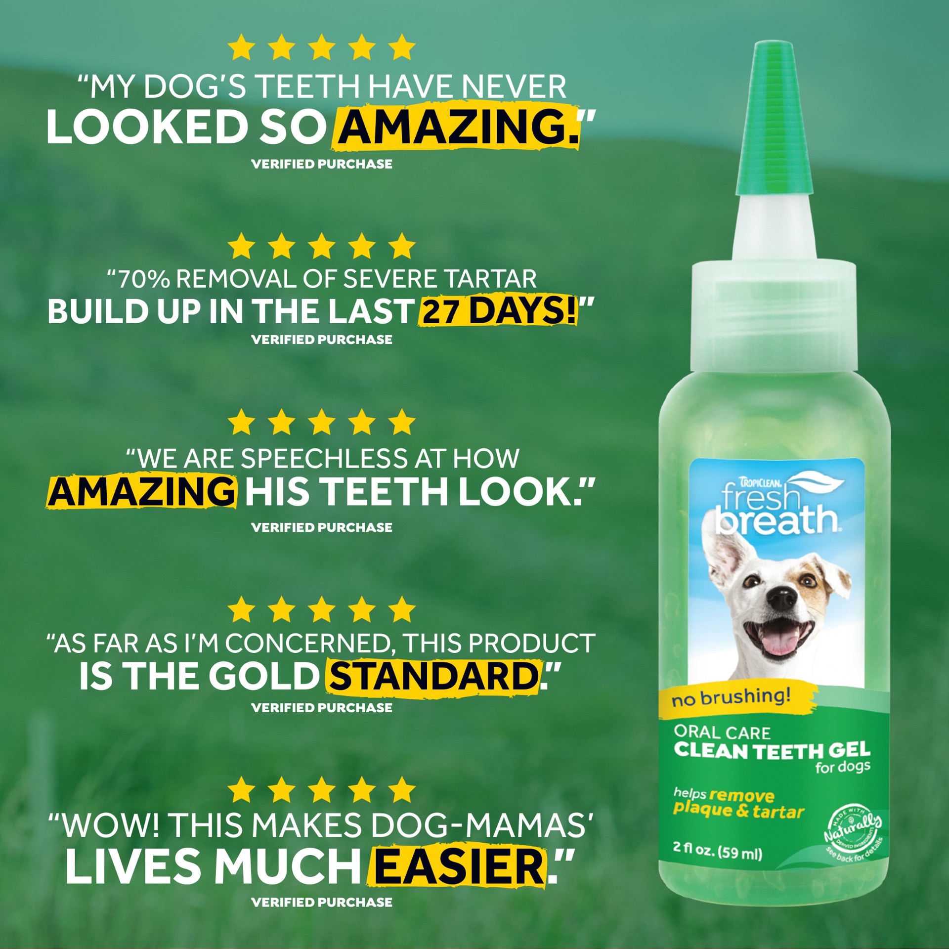 slide 2 of 10, TropiClean Fresh Breath No Brushing Clean Teeth Dental & Oral Care Gel for Dogs, 2oz, 2 oz
