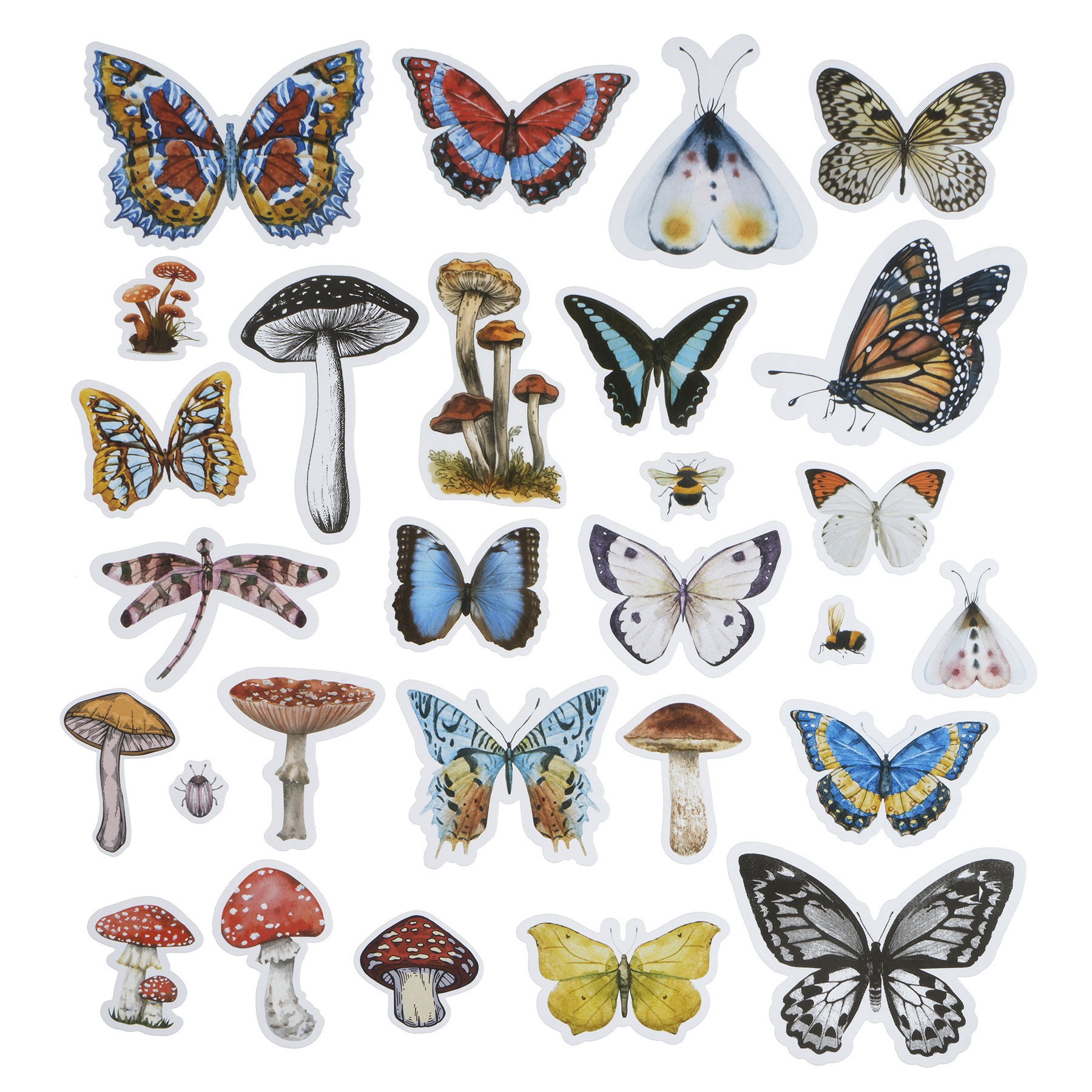 slide 4 of 4, Nature Ephemera By Recollections, 0.9 in to 4.5 in