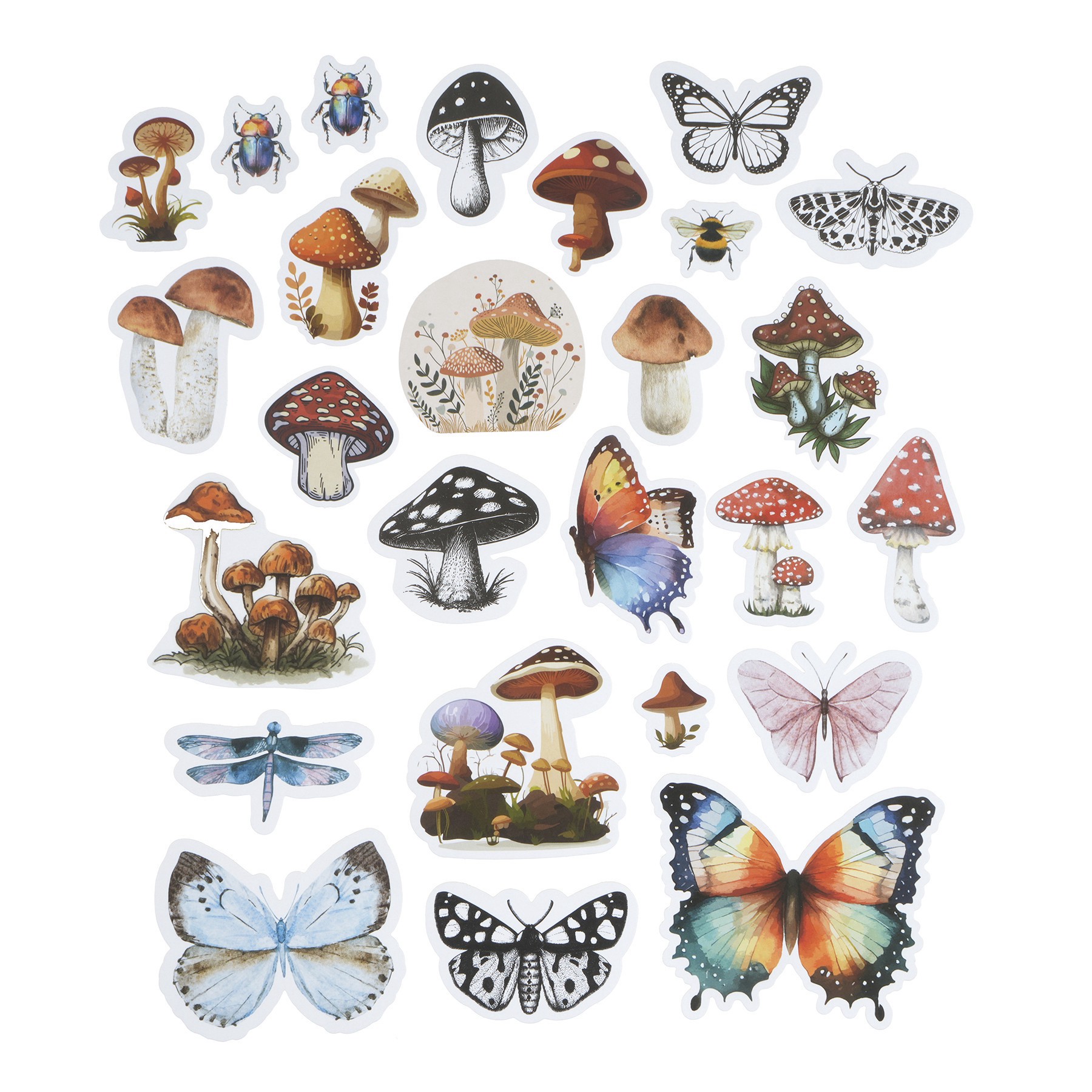 slide 3 of 4, Nature Ephemera By Recollections, 0.9 in to 4.5 in