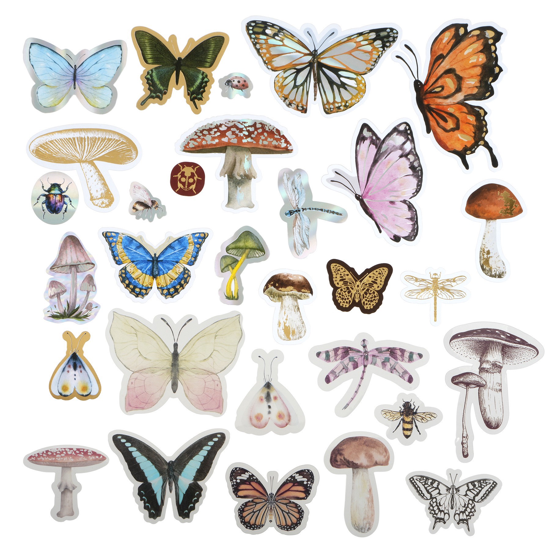 slide 2 of 4, Nature Ephemera By Recollections, 0.9 in to 4.5 in