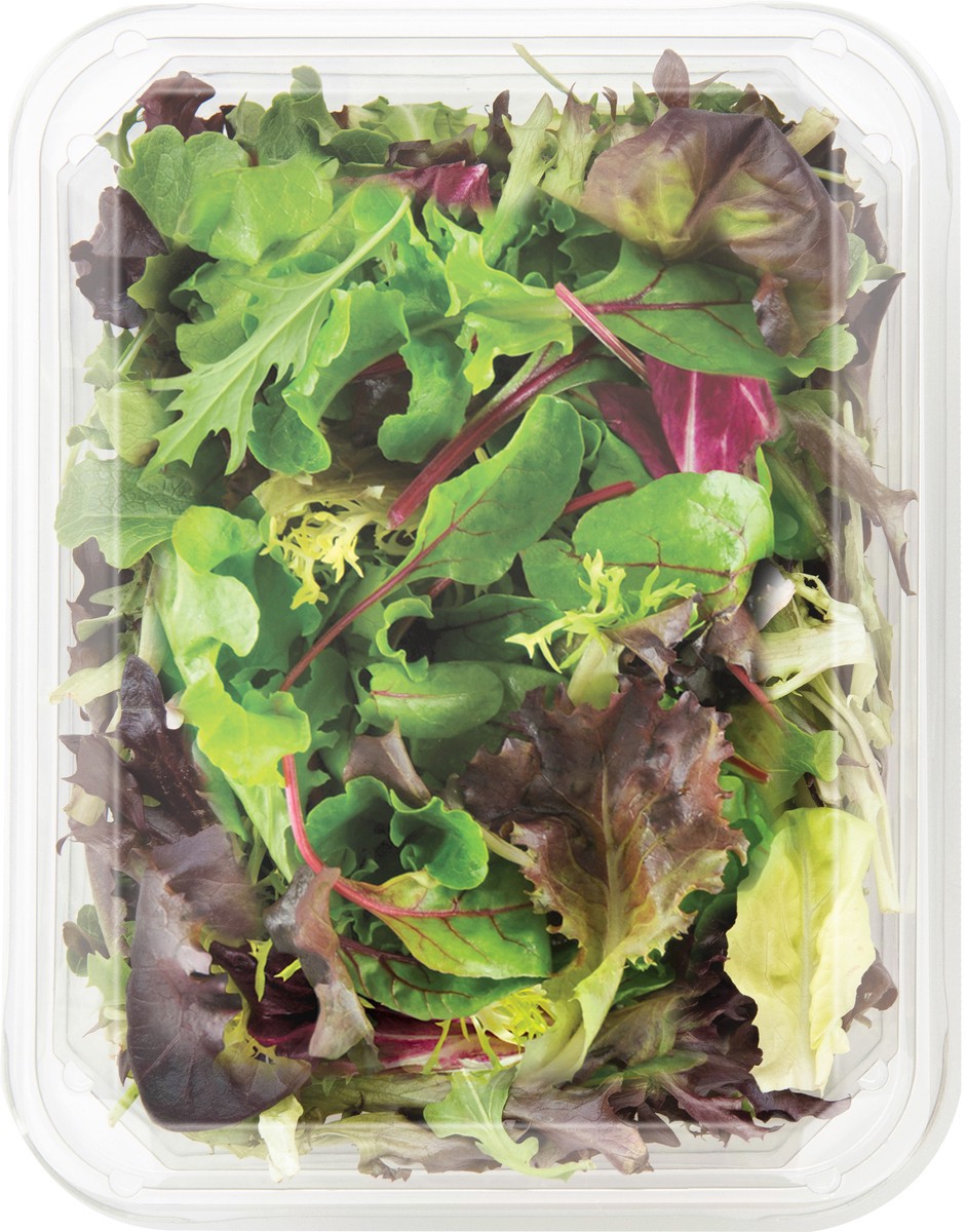 slide 3 of 3, Earthbound Farm Organic Spring Mix, 5 oz