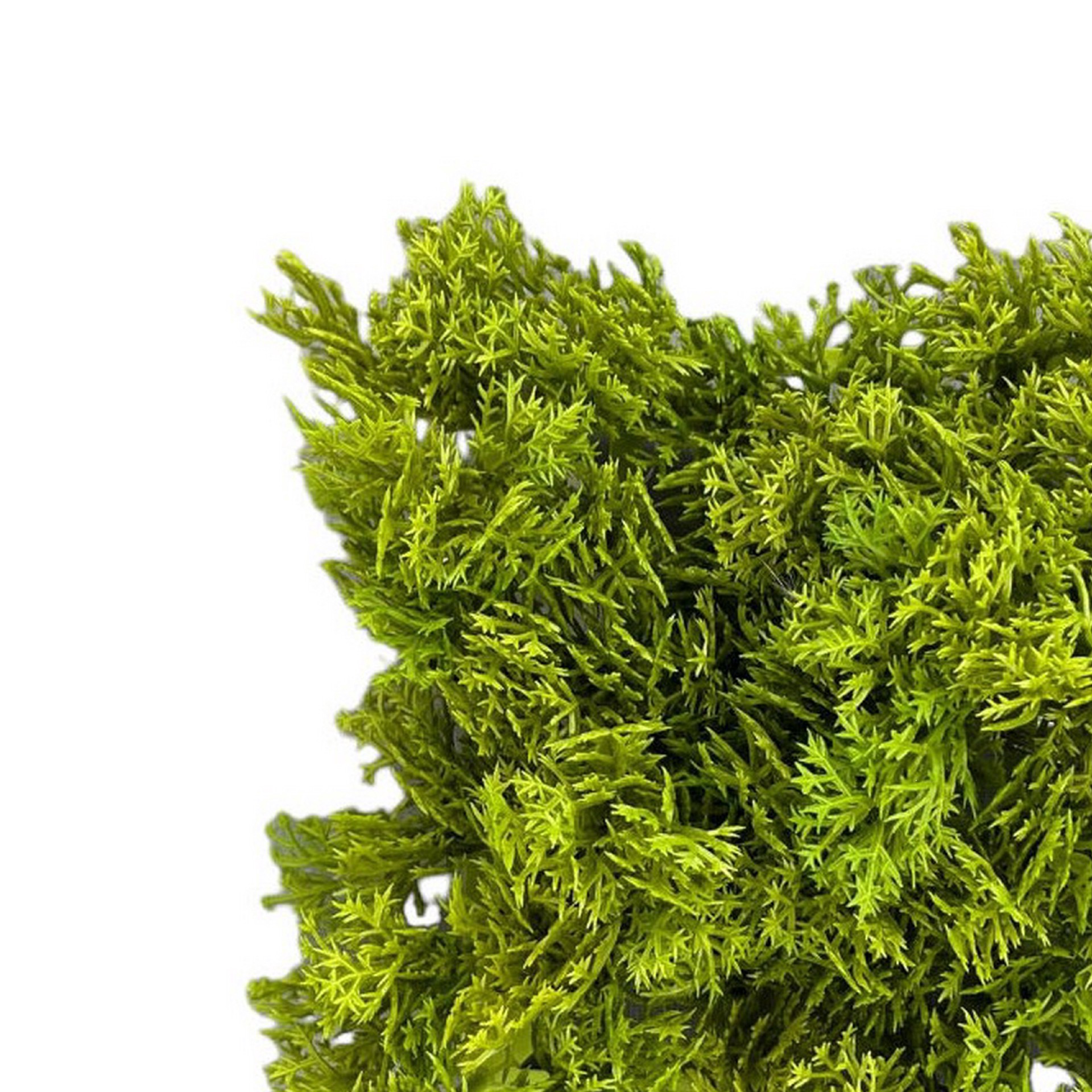 slide 4 of 4, 5" Faux Moss Mat By Ashland, 5 in x 5 in