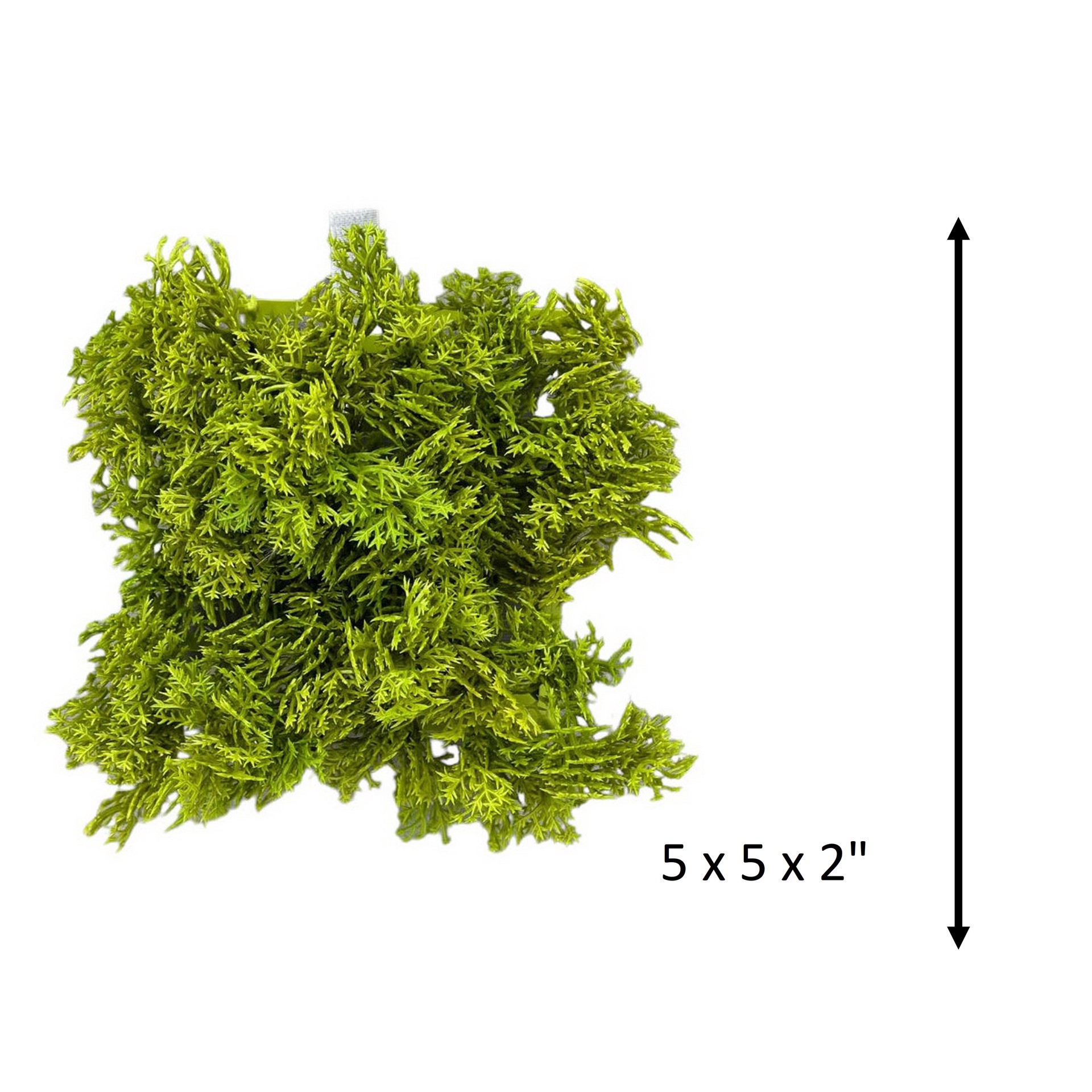 slide 2 of 4, 5" Faux Moss Mat By Ashland, 5 in x 5 in