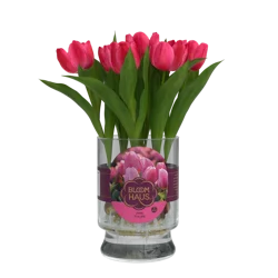 Bloom Haus Spring Bulbs in Hydroponic Vase, 7 stem