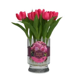 Bloom Haus Spring Bulbs in Hydroponic Vase, 7 stem