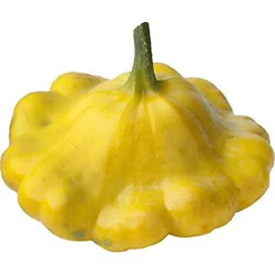 Fresh Sunburst Squash