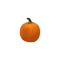 Orange Pumpkin Regular/Small - Weight Between 8-10 Lb