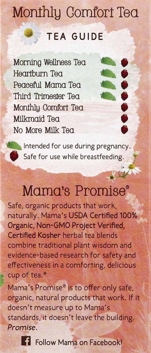 slide 2 of 5, Earth Mama Angel Baby Herbal Tea 16 ea, 1.23 oz