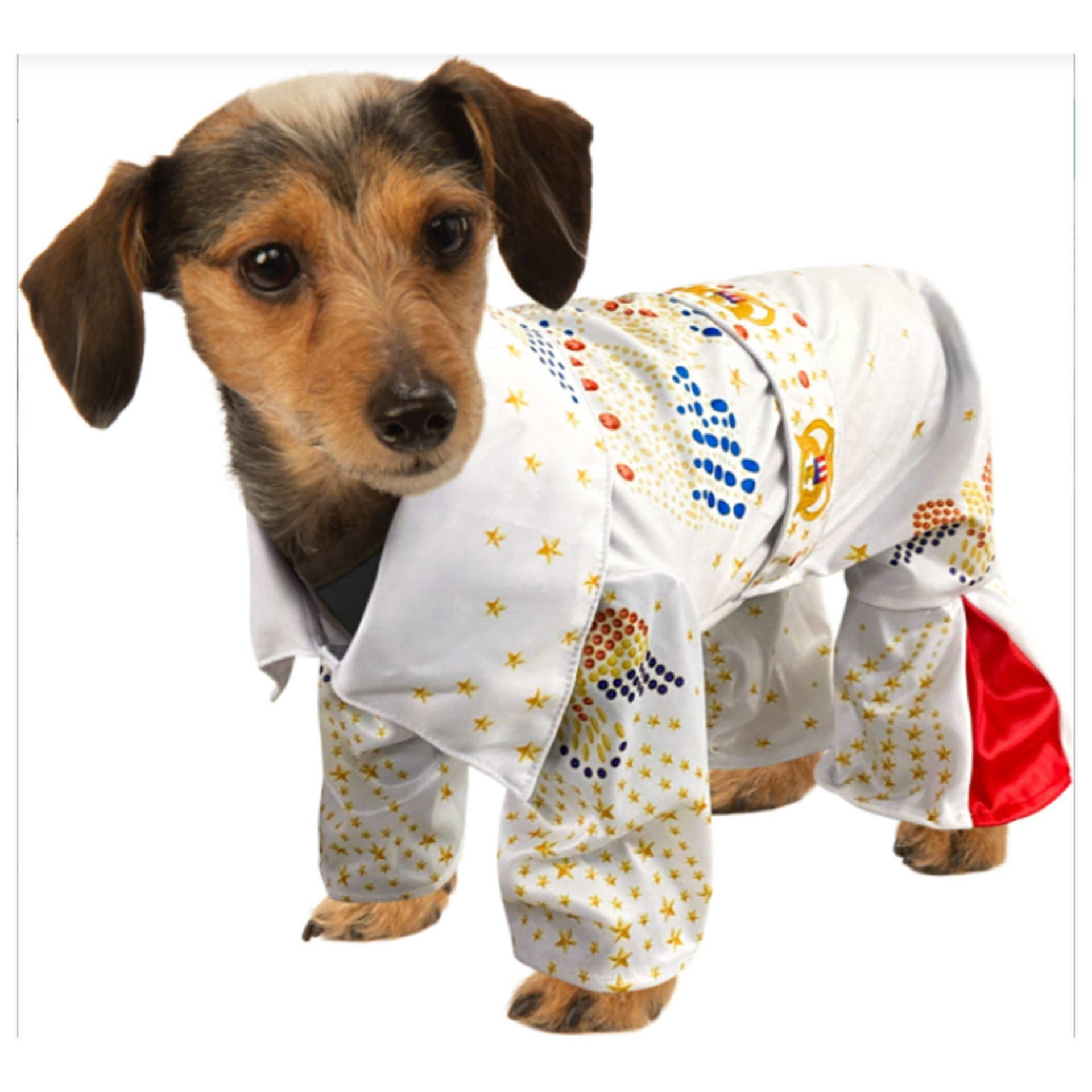 slide 1 of 1, Rubies Costumes Rubie's Pet Shop Halloween Elvis Prestly Dog & Cat Costume, LG