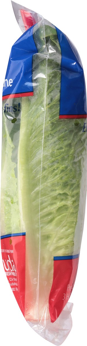 slide 7 of 11, Dandy Hearts of Romaine 3 ea, 3 ct