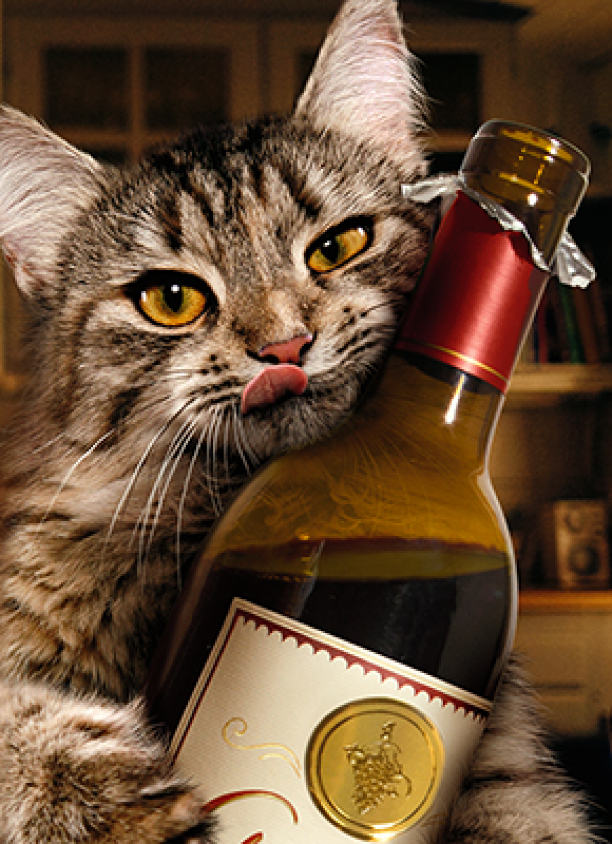 slide 1 of 1, Avanti Birthday Card Cat Wine Bottle Core, 1 ct
