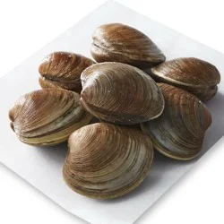 Cherrystone Clams Live Small