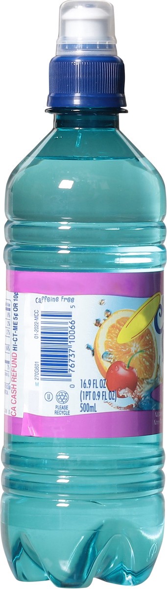 slide 3 of 15, Clear Fruit Fruit Punch - 16.9 fl oz, 16.9 fl oz