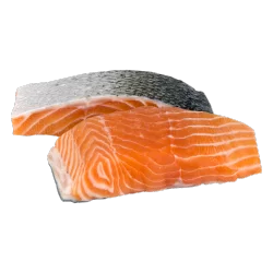 Nature's Best Seafood Salmon Portions