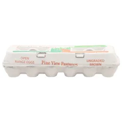 Pine View Pastures Open Range Brown Ungraded Eggs - 12 ea
