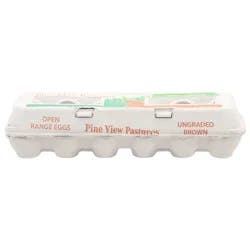 Pine View Pastures Open Range Brown Ungraded Eggs - 12 ea