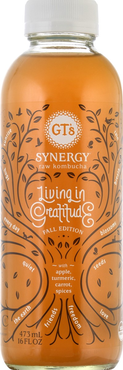 slide 9 of 12, GT's Living in Gratitude Raw Kombucha - 473 ml, 473 ml