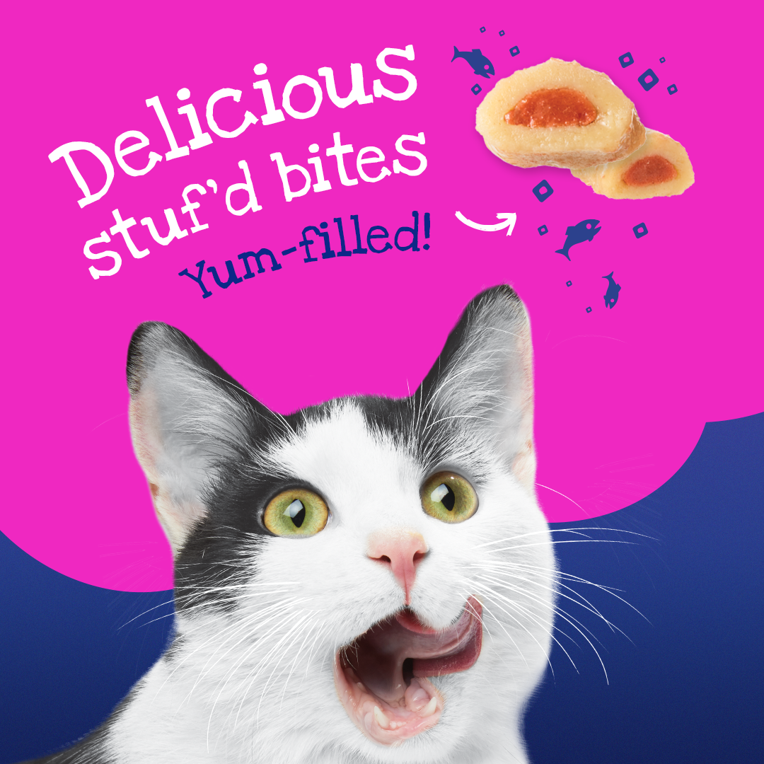slide 5 of 6, Friskies Stuf'D & Sauc'D Salmon & Shrimp Wet Cat Food, 5.5 oz
