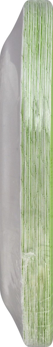slide 3 of 10, Touch of Color 6-7/8 Inch Fresh Lime Plates 24 ea, 24 ct