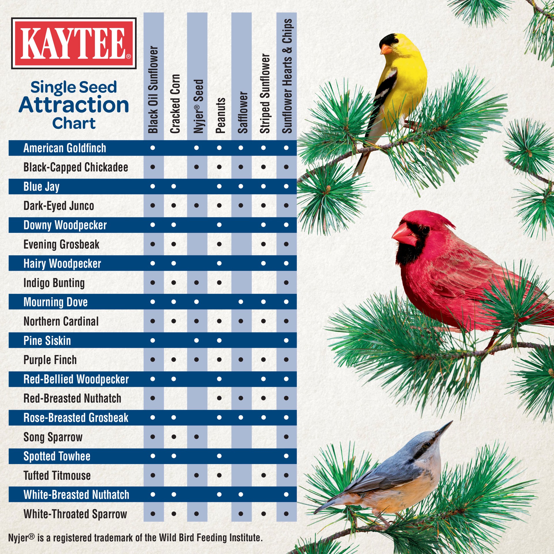 slide 6 of 8, Kaytee Black Oil Sunflower Food 20 Pounds, 1 ct