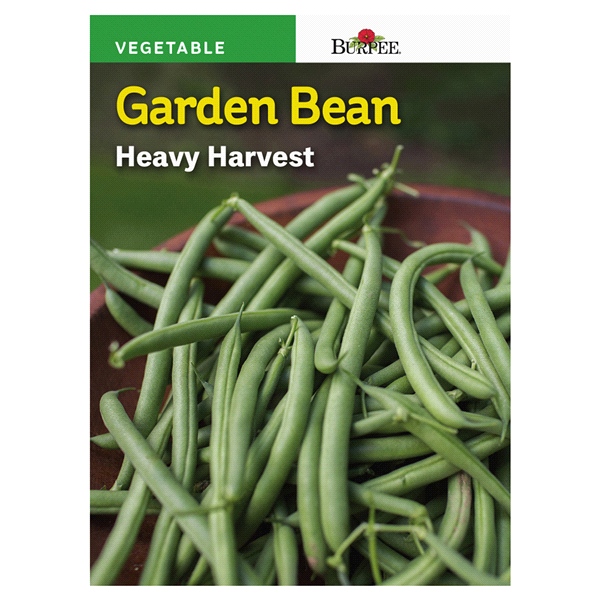 slide 1 of 1, Burpee Bean Bush Snap Heavy Harvest Seeds, 1 ct