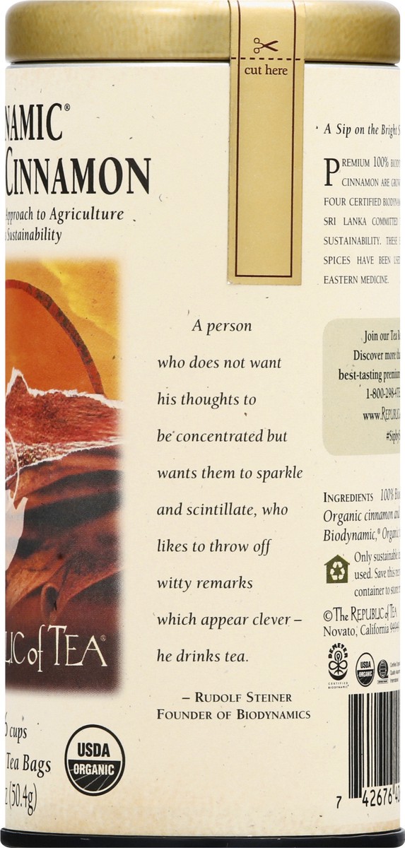 slide 4 of 11, The Republic of Tea Bags Biodynamic Turmeric Cinnamon Tea - 36 ct, 36 ct