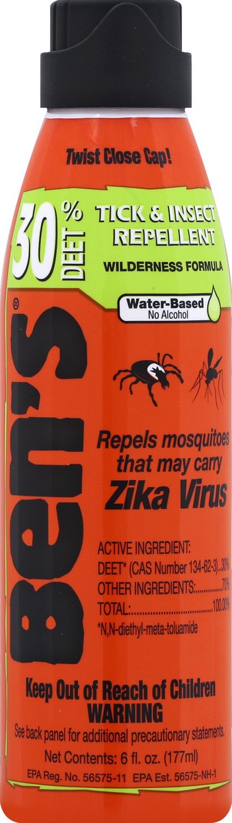 slide 2 of 2, Ben's Bens Tick & Insect Repellent 6 oz, 6 oz