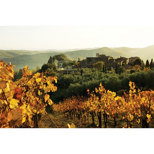 slide 10 of 10, Castello di Volpaia Riserva Chianti Classico 750 ml, 750 ml