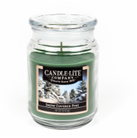 slide 1 of 1, Candle-Lite Snow Covered Pine Jar Candle - Green, 18 oz