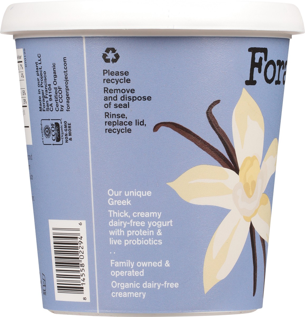 slide 4 of 15, Forager Project Greek Style Vanilla Coconut & Cashew Yogurt, 24 oz