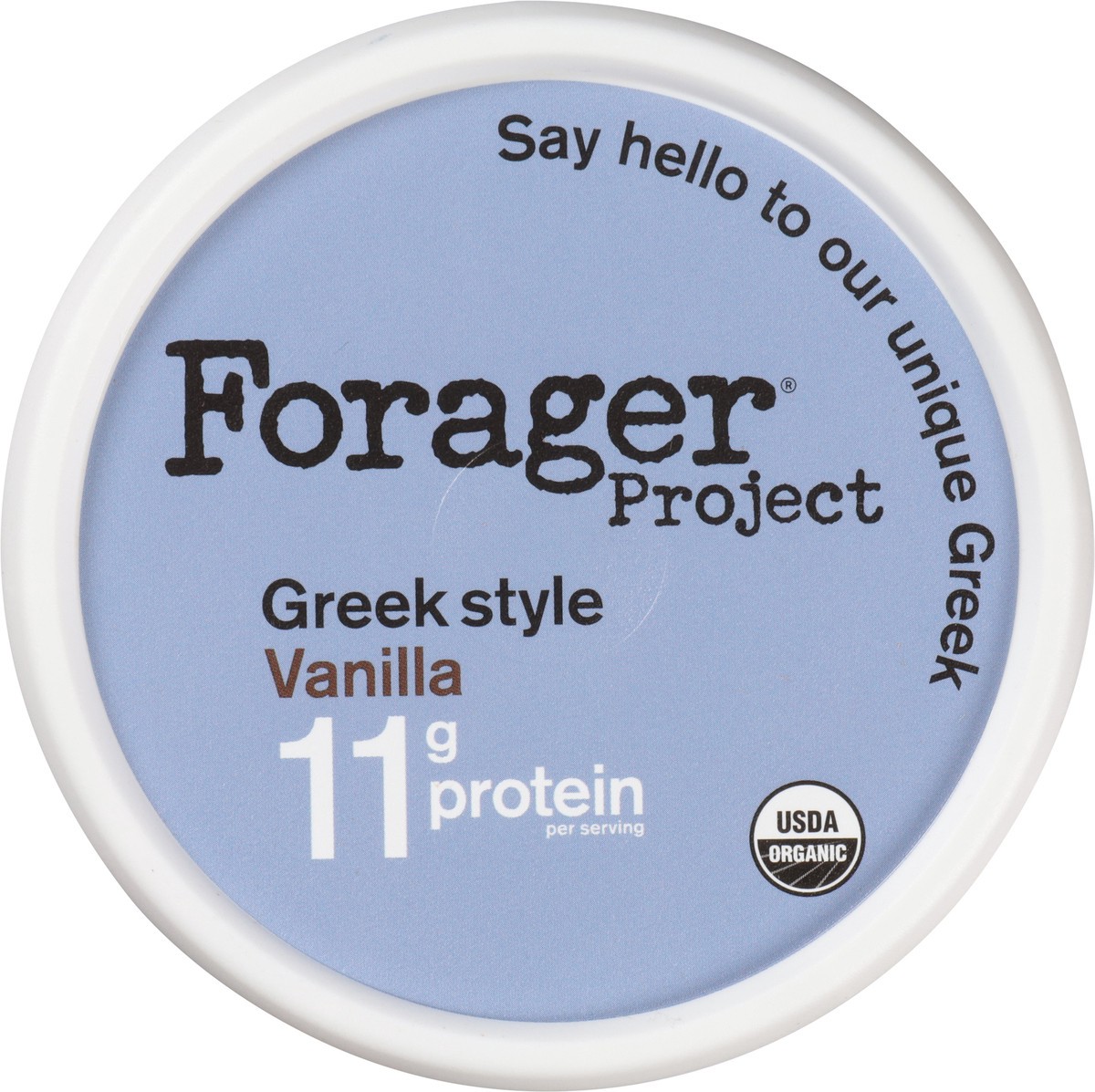 slide 3 of 15, Forager Project Greek Style Vanilla Coconut & Cashew Yogurt, 24 oz