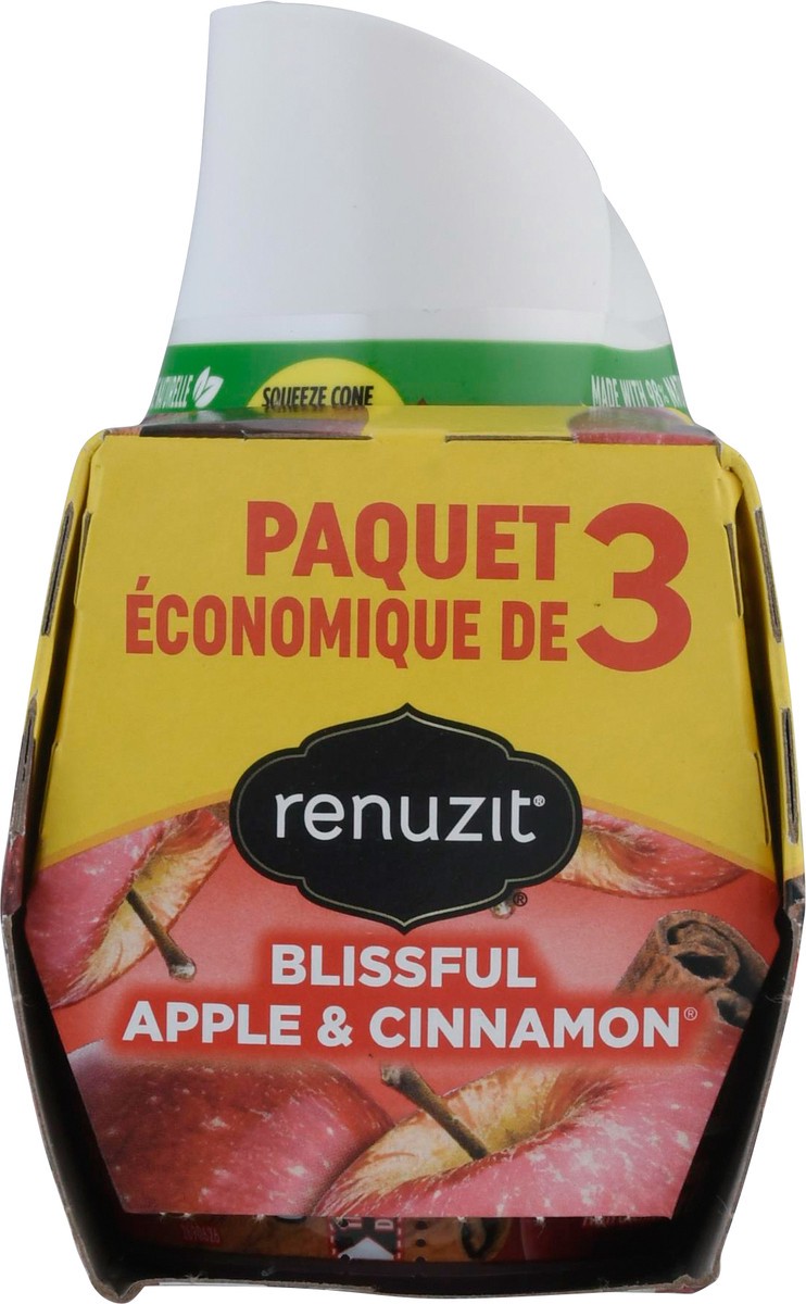 slide 8 of 13, Renuzit 3 Value Pack Blissful Apple & Cinnamon Gel Air Fresheners 3 - 7.0 oz, 3 ct