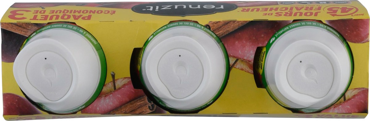 slide 3 of 13, Renuzit 3 Value Pack Blissful Apple & Cinnamon Gel Air Fresheners 3 - 7.0 oz, 3 ct