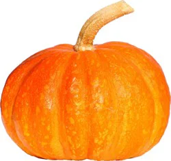 Squash Kabocha Organic