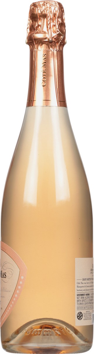slide 3 of 10, Cote Mas Rose Brut 750 ml, 750 ml