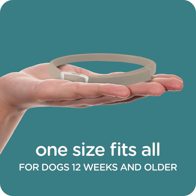 slide 2 of 4, SERGEANT'S GUARDIAN Pro Flea & Tick Collar for Dogs, 1 Count, 1 ct