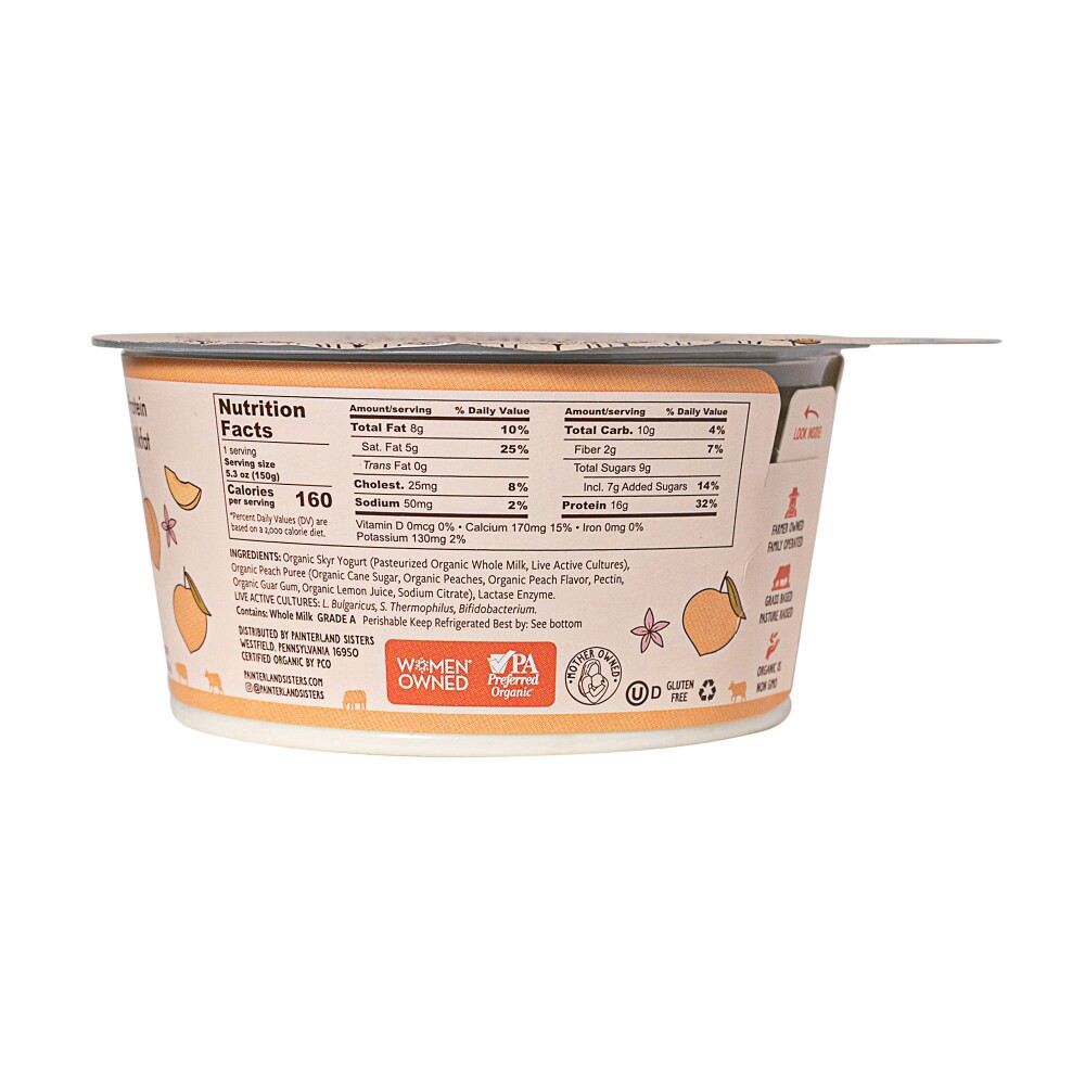 slide 3 of 5, Painterland Yogurt, 1 ct