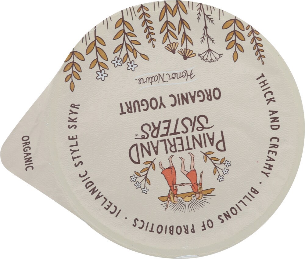 slide 4 of 5, Painterland Yogurt, 1 ct
