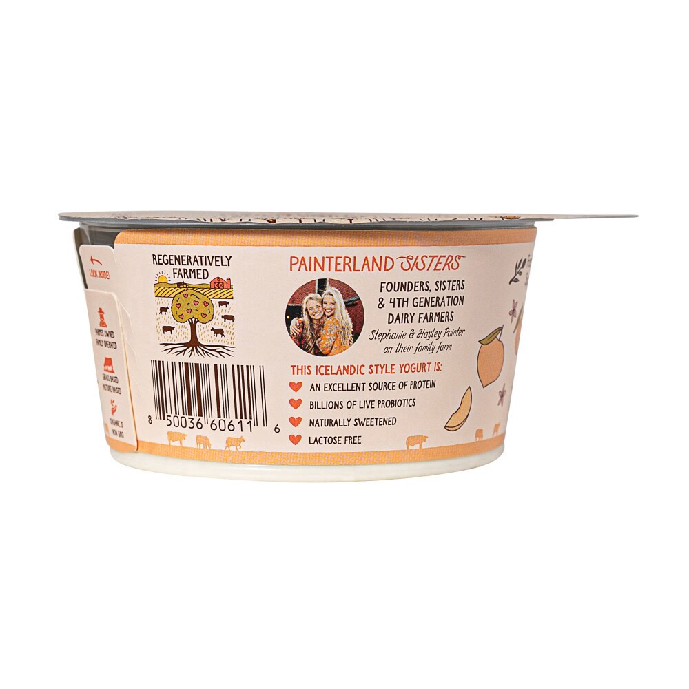 slide 2 of 5, Painterland Yogurt, 1 ct