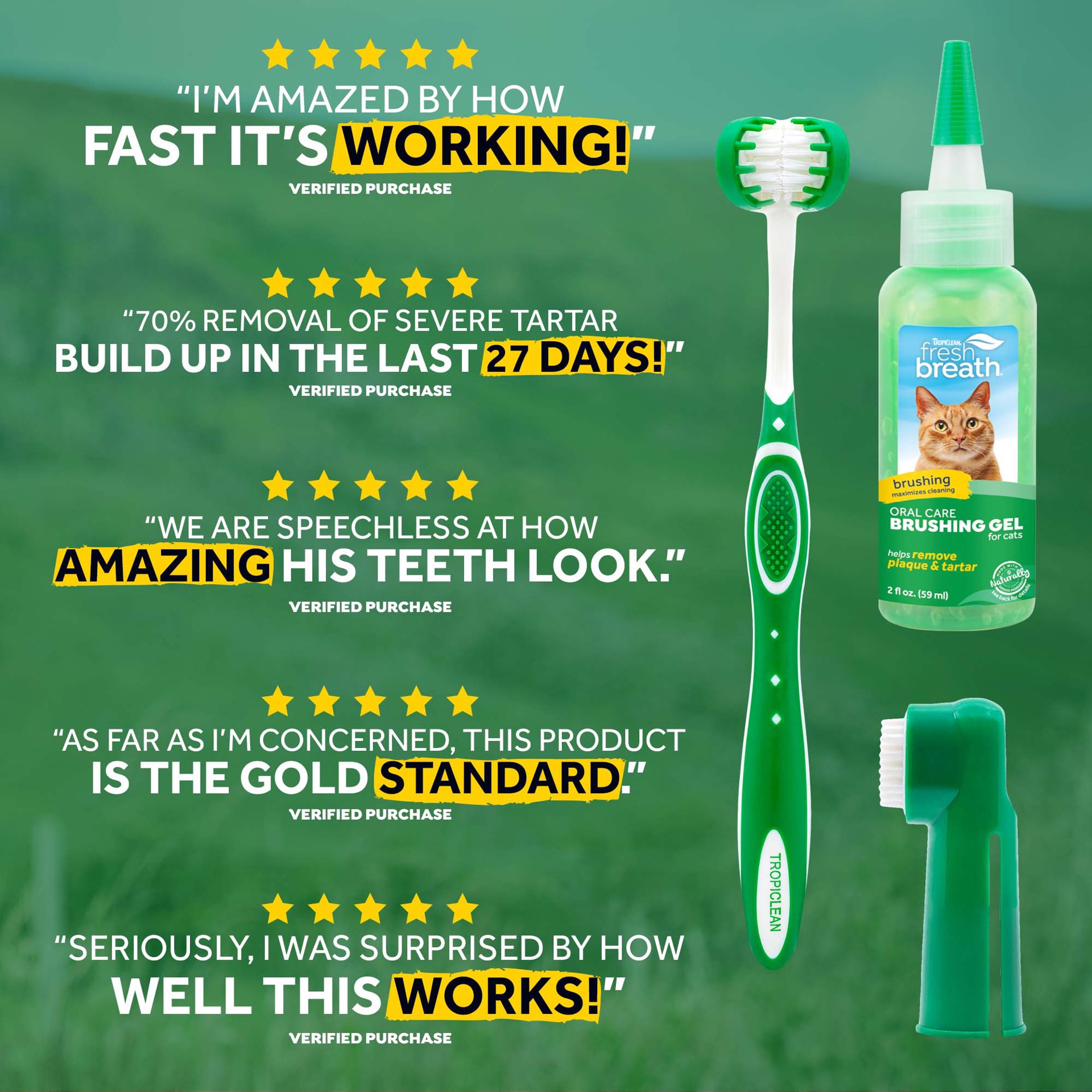 slide 9 of 9, TropiClean Fresh Breath Plaque & Tartar Control Kit for Cats, 2 oz