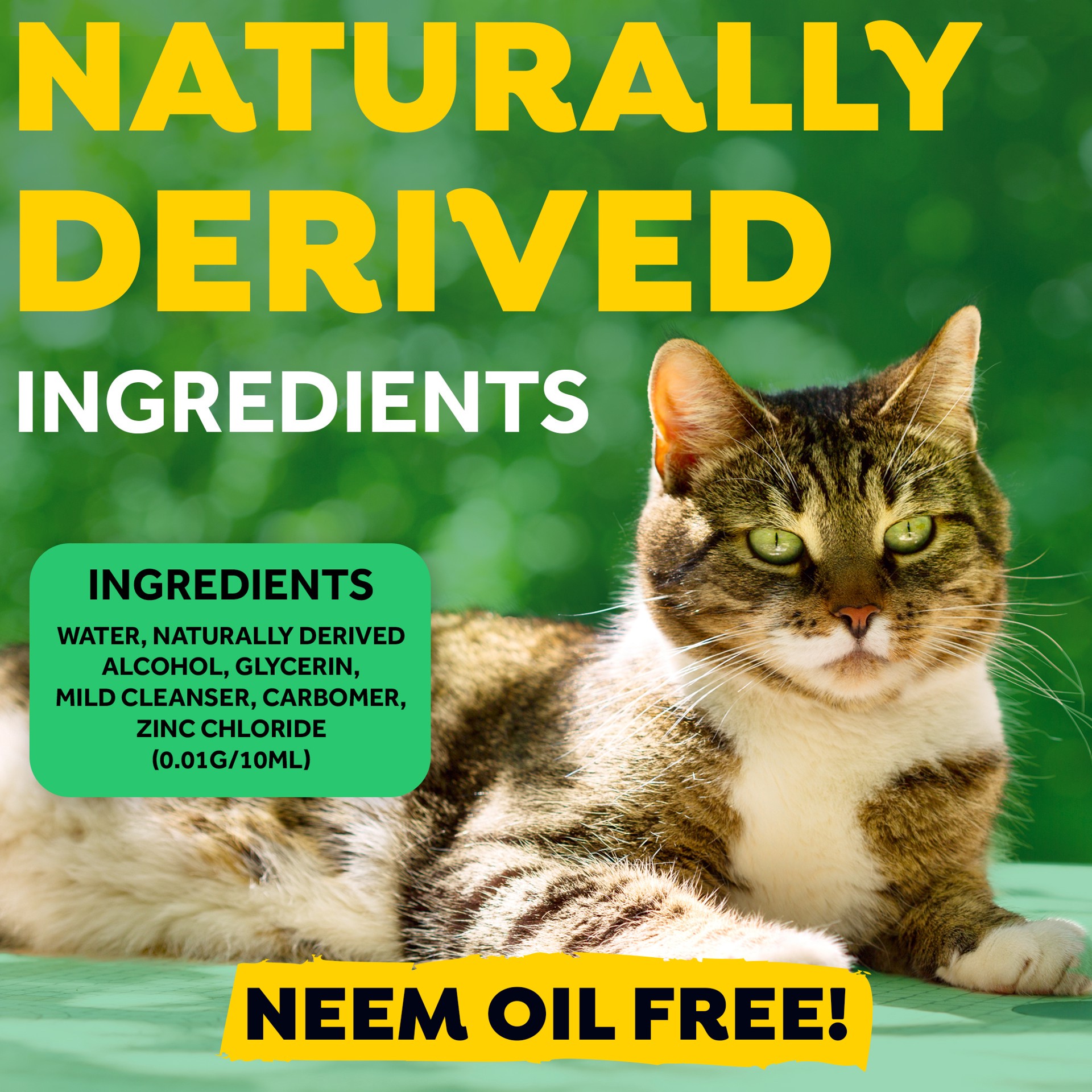 slide 2 of 9, TropiClean Fresh Breath Plaque & Tartar Control Kit for Cats, 2 oz