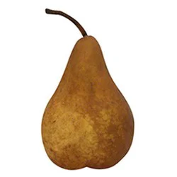 Giant Eagle Produce Bosc Pear