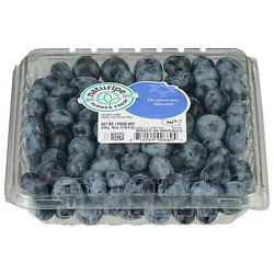 Alpine Fresh Blueberries - 18 oz