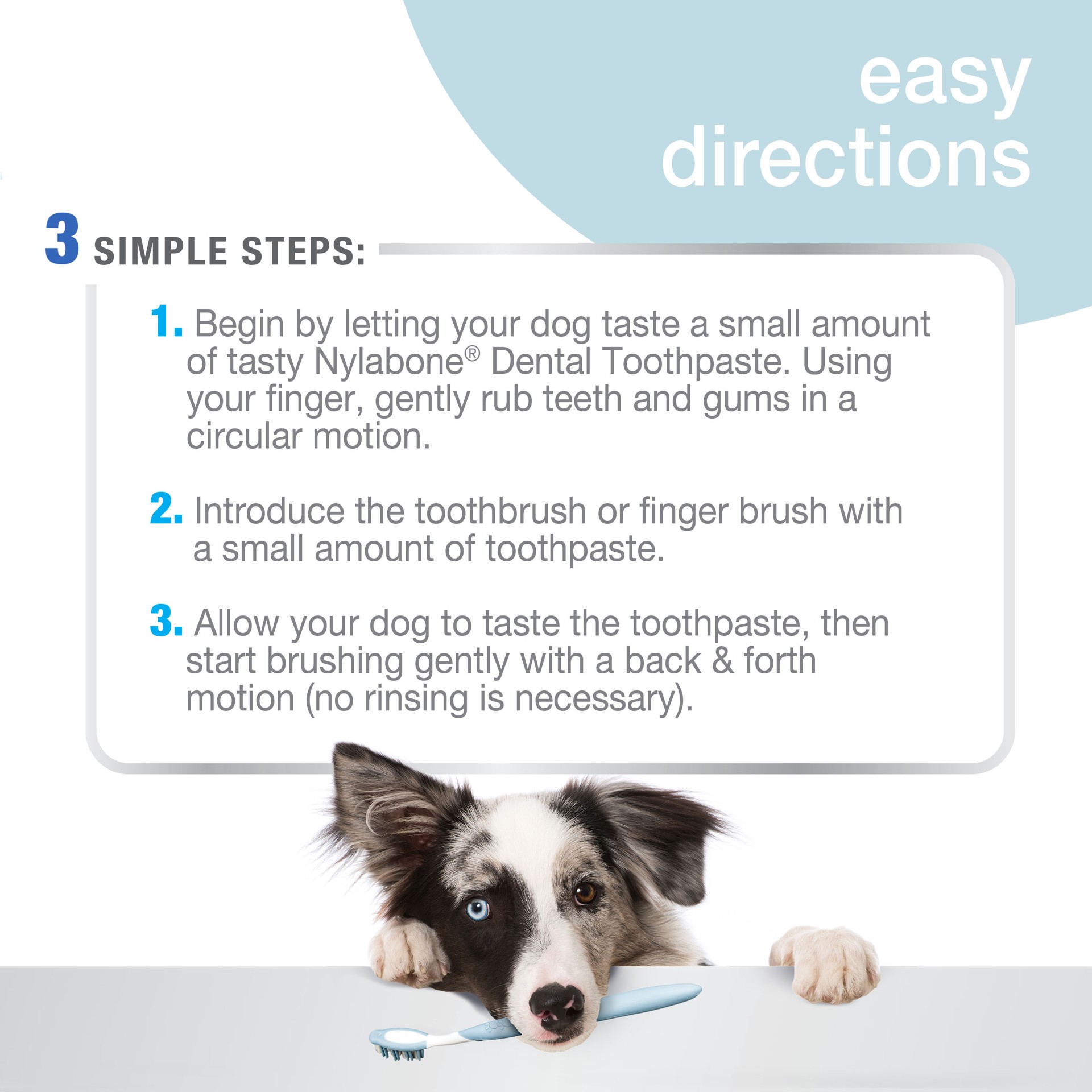 slide 3 of 10, Nylabone Advanced Oral Care Dog Dental Kit Original 2.5 Ounce (3 Count), 1 ct