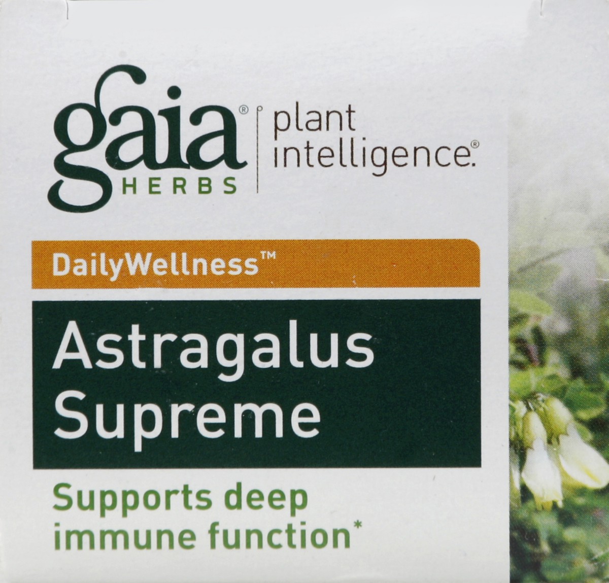 slide 4 of 4, Gaia Astragalus Supreme 60 ea, 60 ct