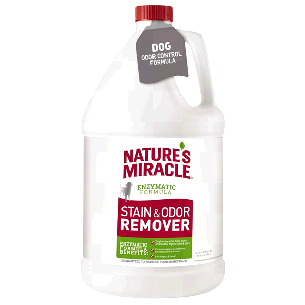 slide 1 of 1, Natures Miracle Stain and Odor Remover, gallon, 1 ct