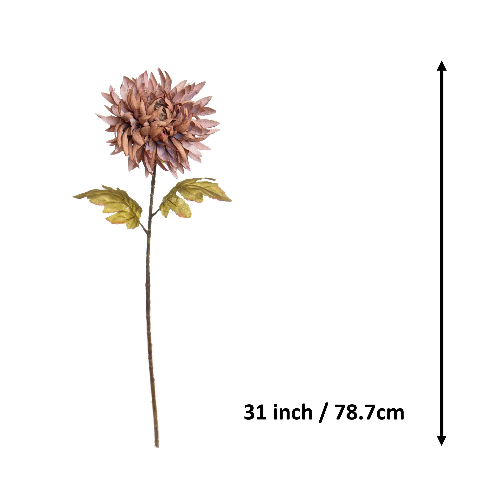 slide 3 of 3, 31" Brown Crab Mum Stem By Ashland, 6 in x 3 in x 31 in