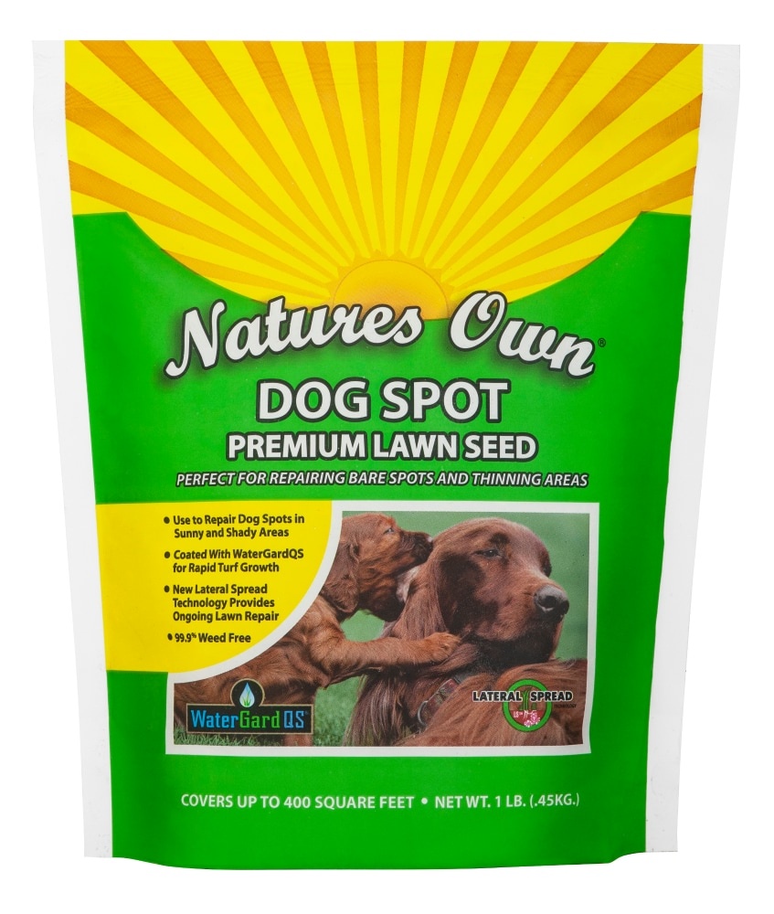 slide 1 of 1, Nature's Own Dog Spot Premium Lawn Seed, 1 lb